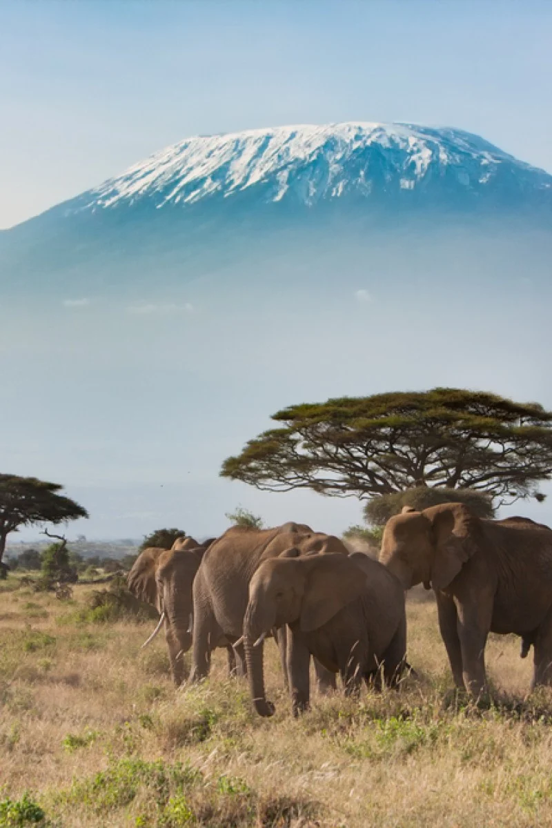 Kenya wedding venue